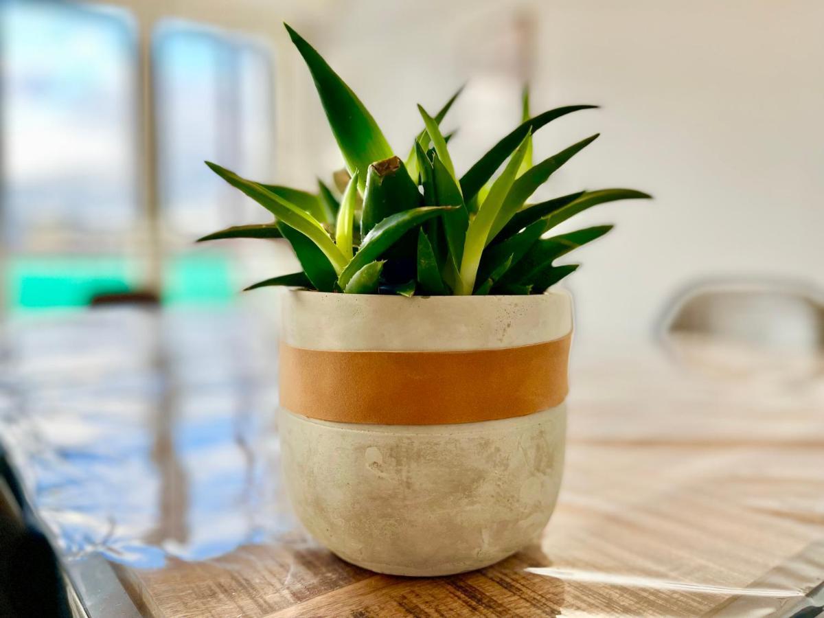 Colmar - La Cigogne - Balcon - Vue Degagee - Netflix - Wifi Fibre - Parking Gratuit - Quartier Populaire Lägenhet Exteriör bild